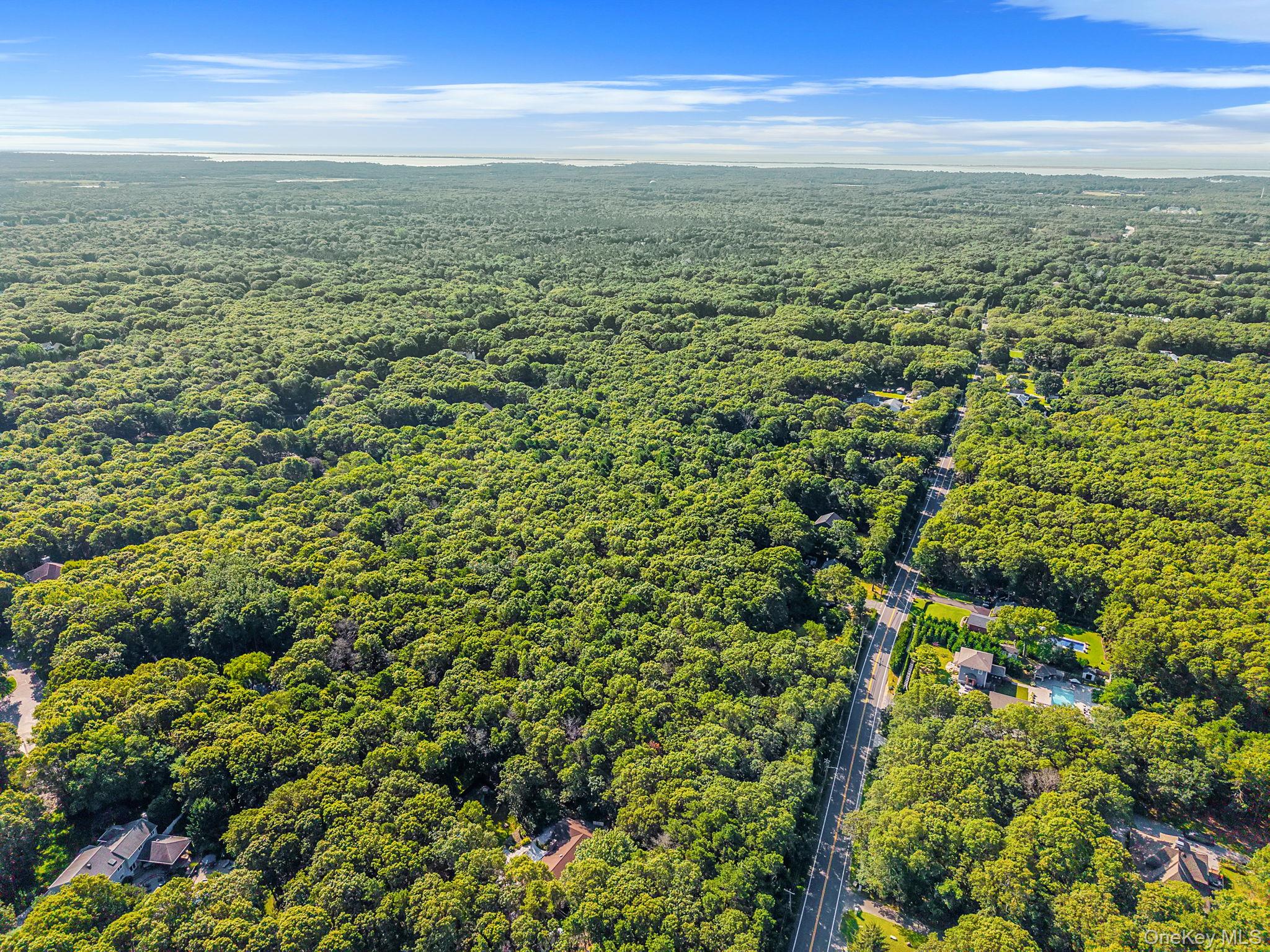 200 Wading River Road Manorville, NY 11949 - Photo 21 of 31 an aerial view of residential houses with outdoor space