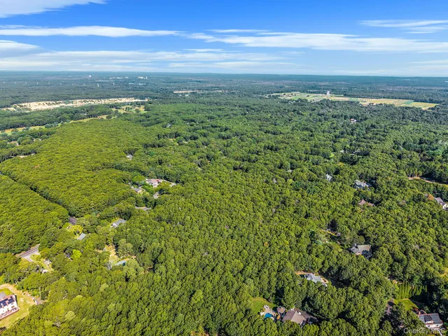 a view of a small yard