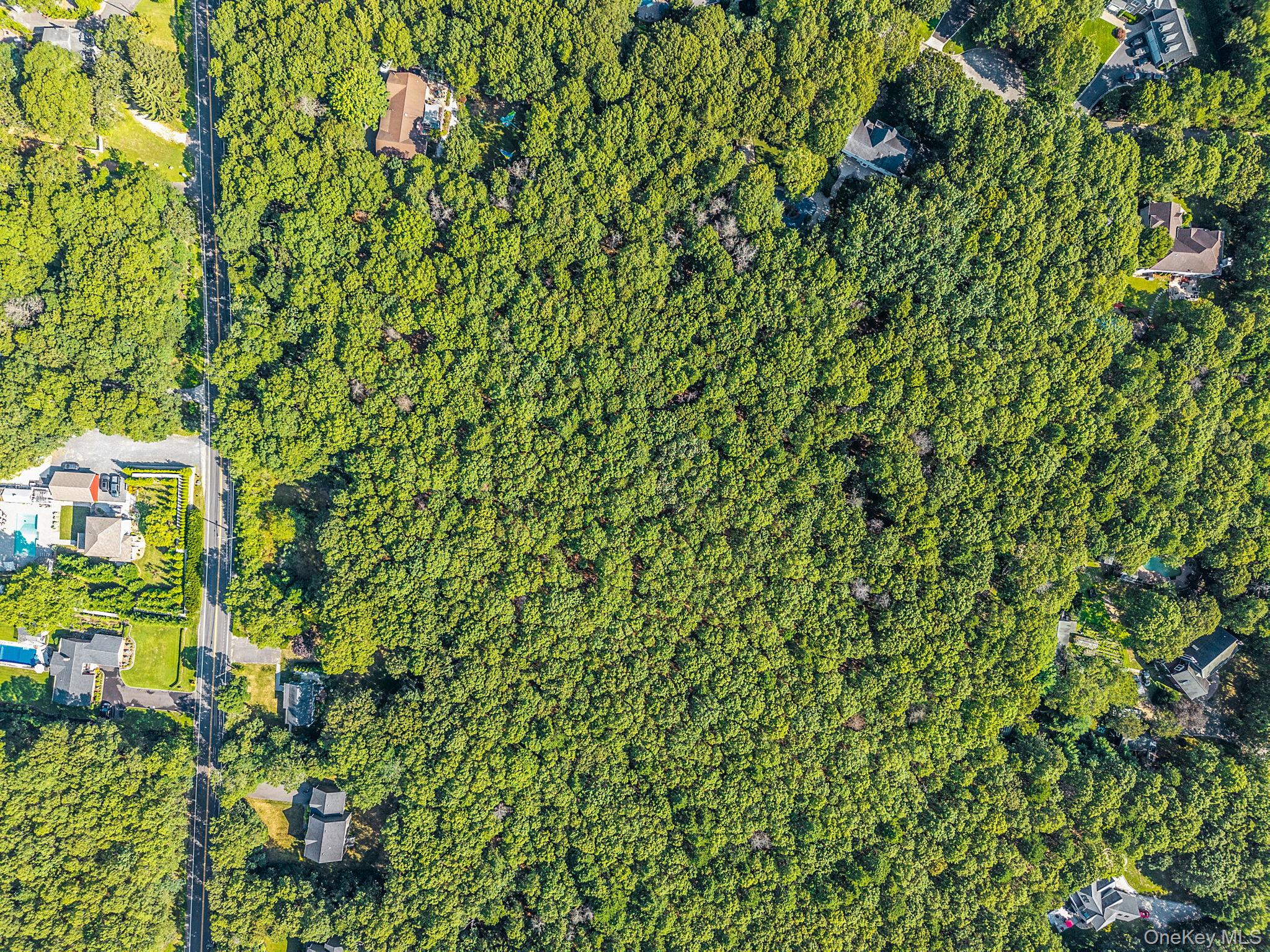 200 Wading River Road Manorville, NY 11949 - Photo 28 of 31 a view of a small yard