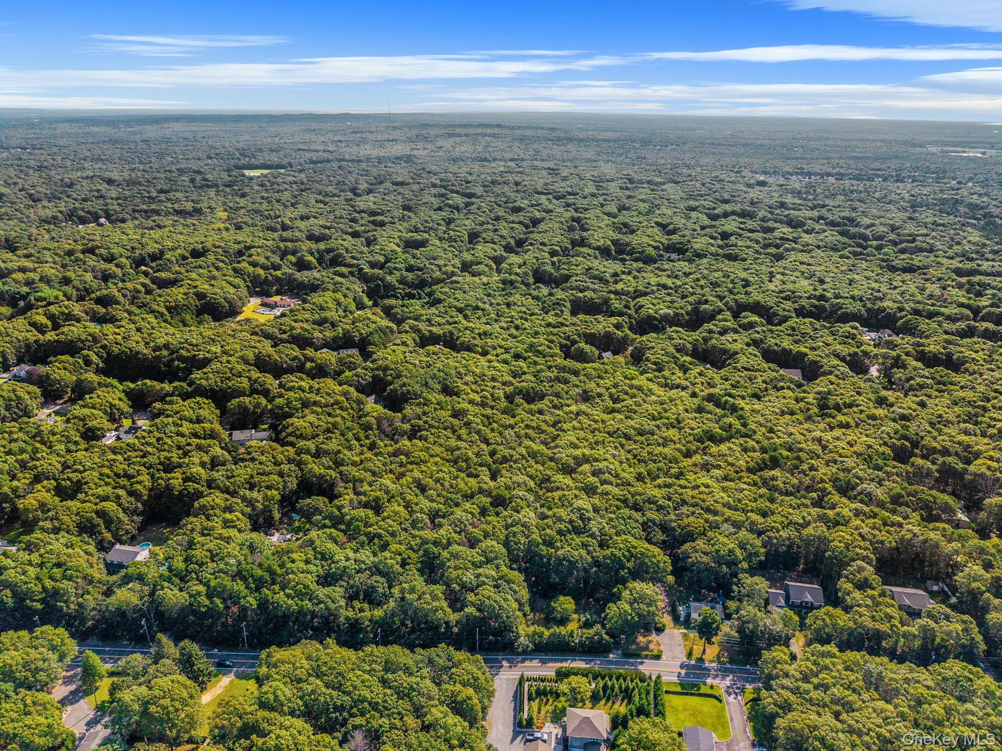 200 Wading River Road Manorville, NY 11949 - Photo 6 of 31 an aerial view of residential houses with outdoor space