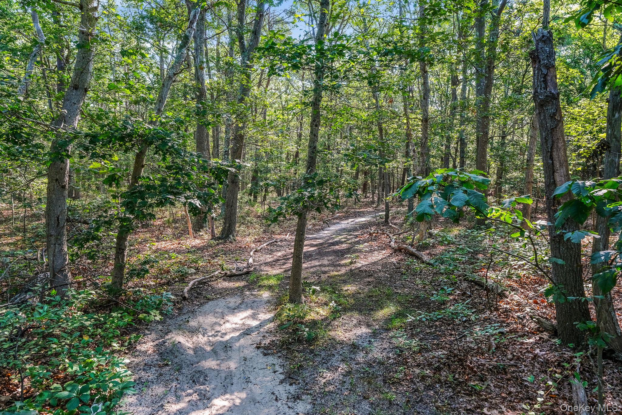 200 Wading River Road Manorville, NY 11949 - Photo 8 of 31 a backyard of a house with lots of green space