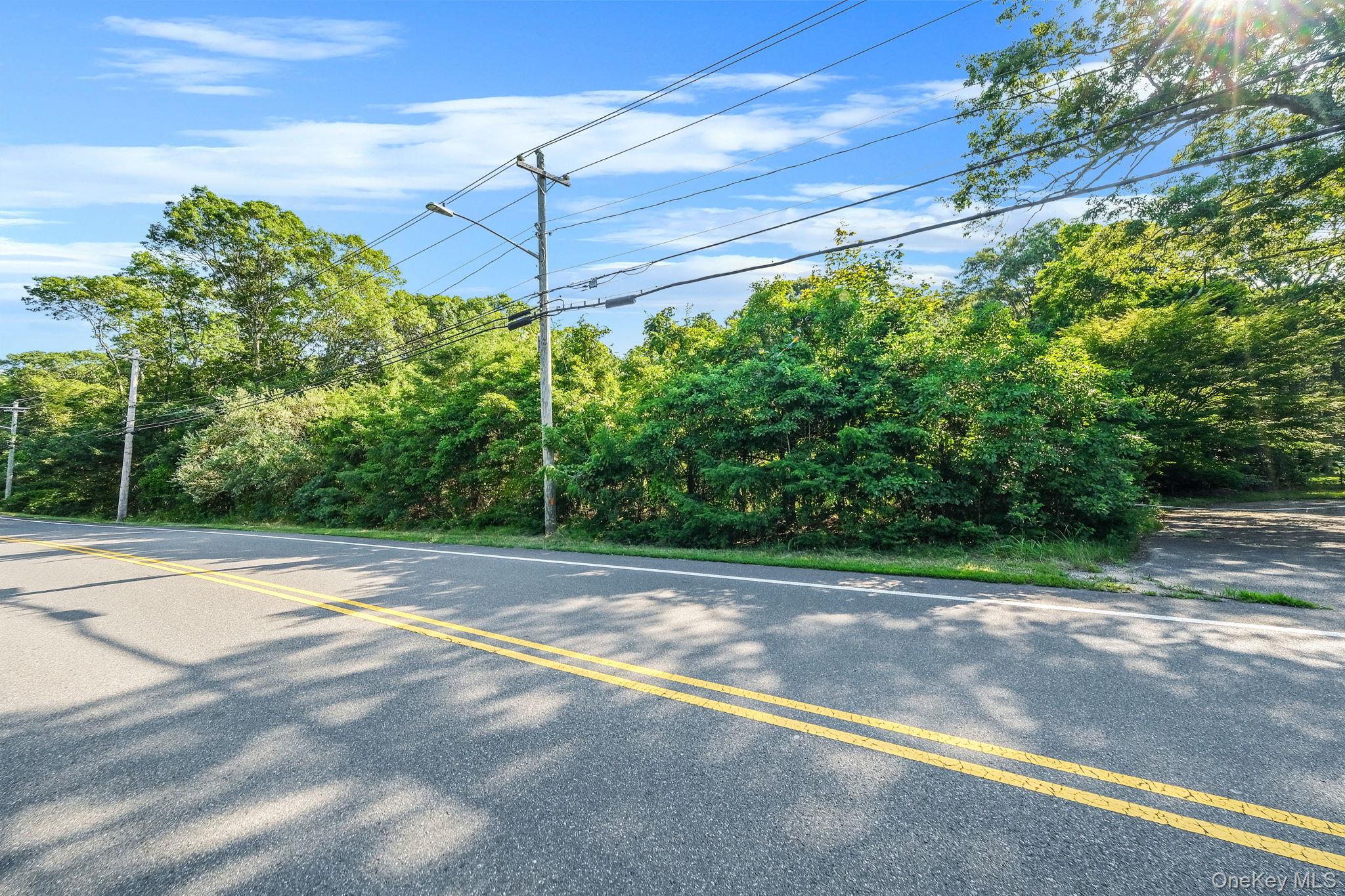 200 Wading River Road Manorville, NY 11949 - Photo 9 of 31 a view of a yard with a house