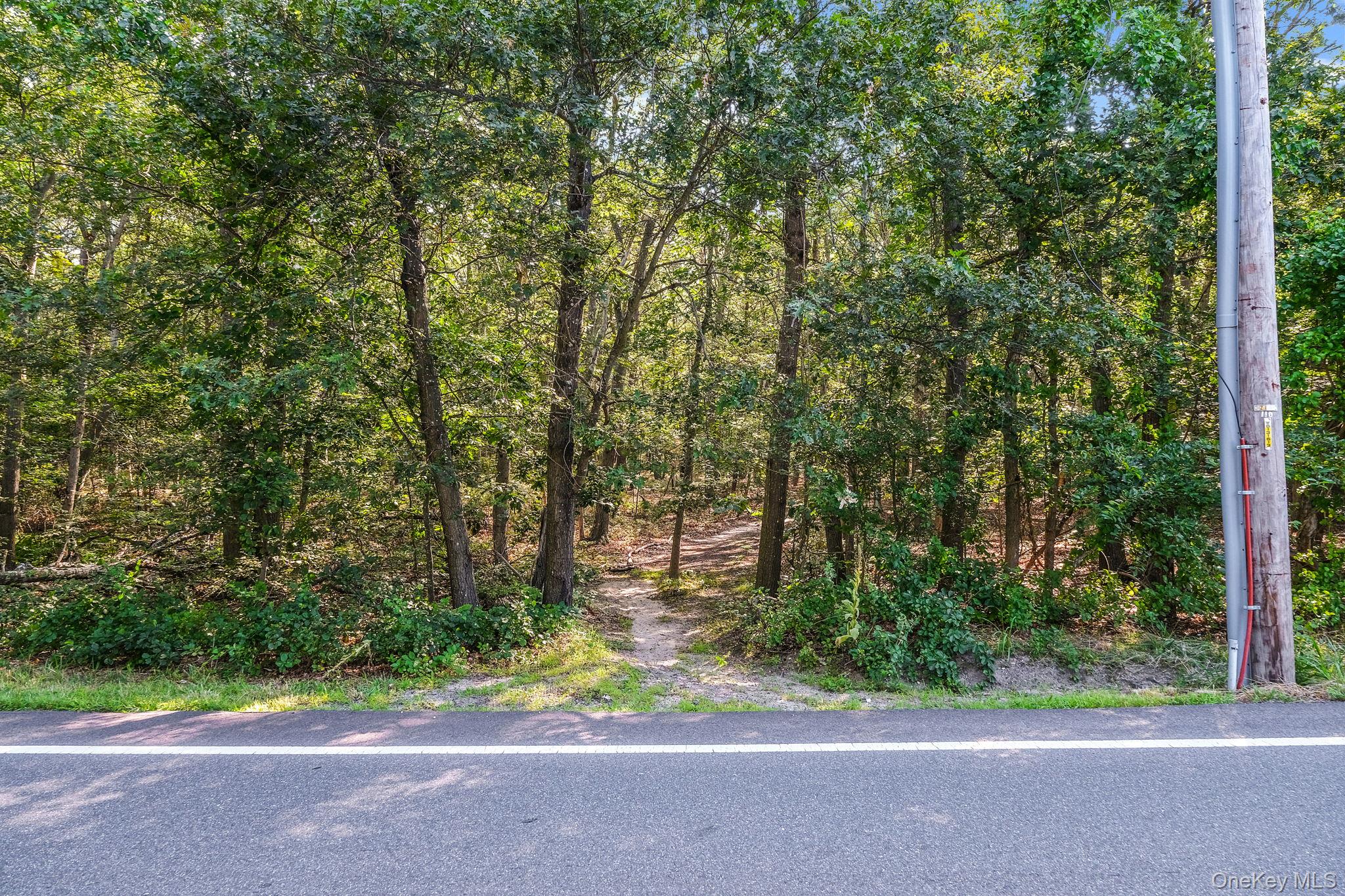 200 Wading River Road Manorville, NY 11949 - Photo 10 of 31 a backyard of a house with a trees and plants