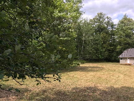2387 Steiner Road Comins, MI 48619 - Photo 20 of 21 Gallery Image 20