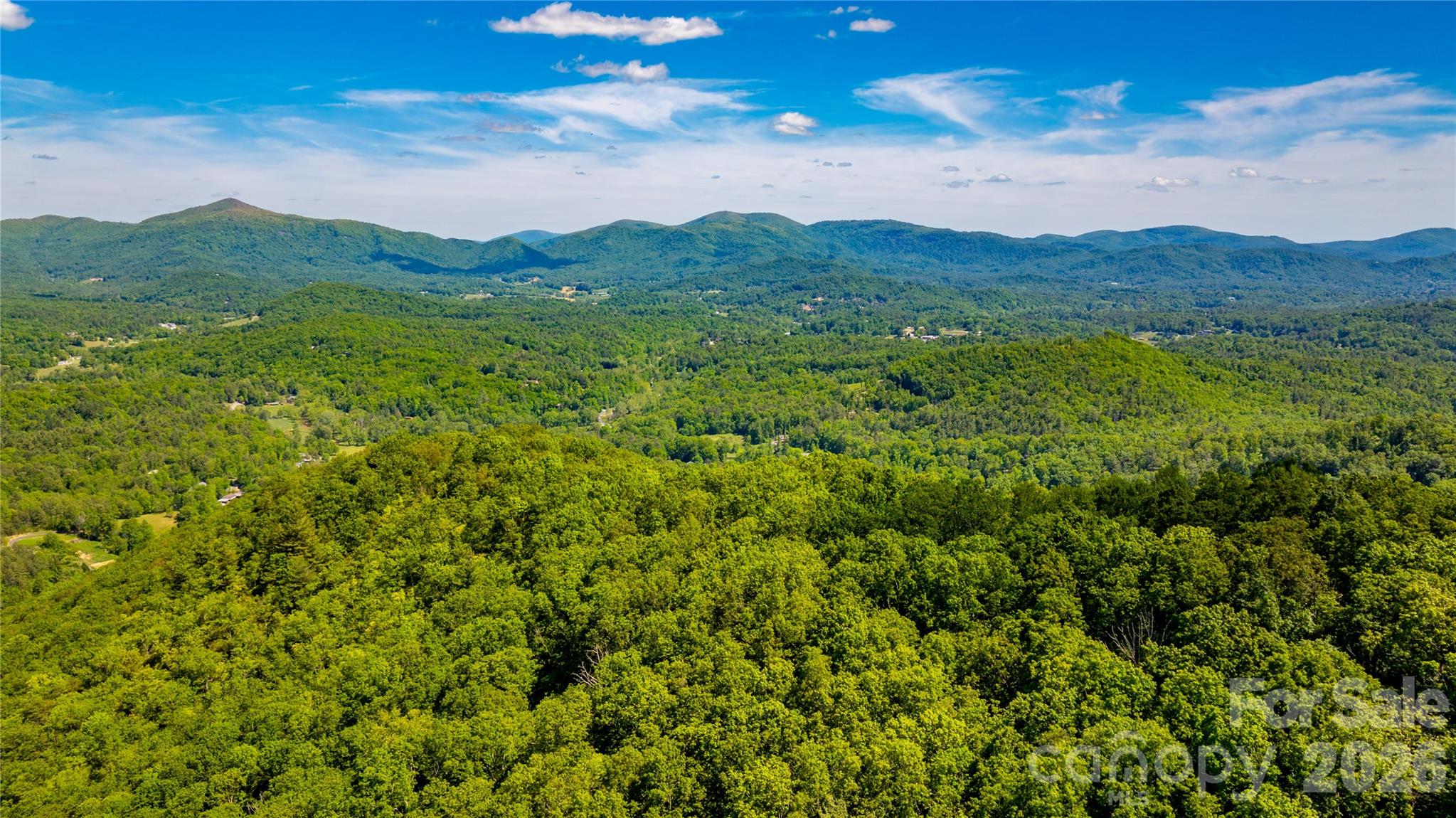 214 Ballard Creek Road Fairview, NC 28730 - Photo 18 of 18 a view of a mountain range with lush green forest