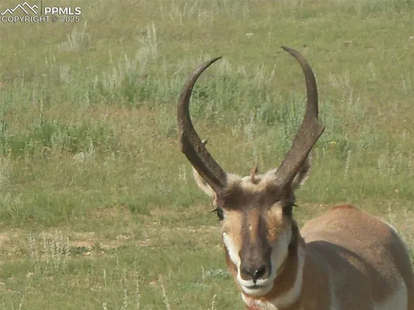 a living room with furniture a flat screen tv and a floor to ceiling window