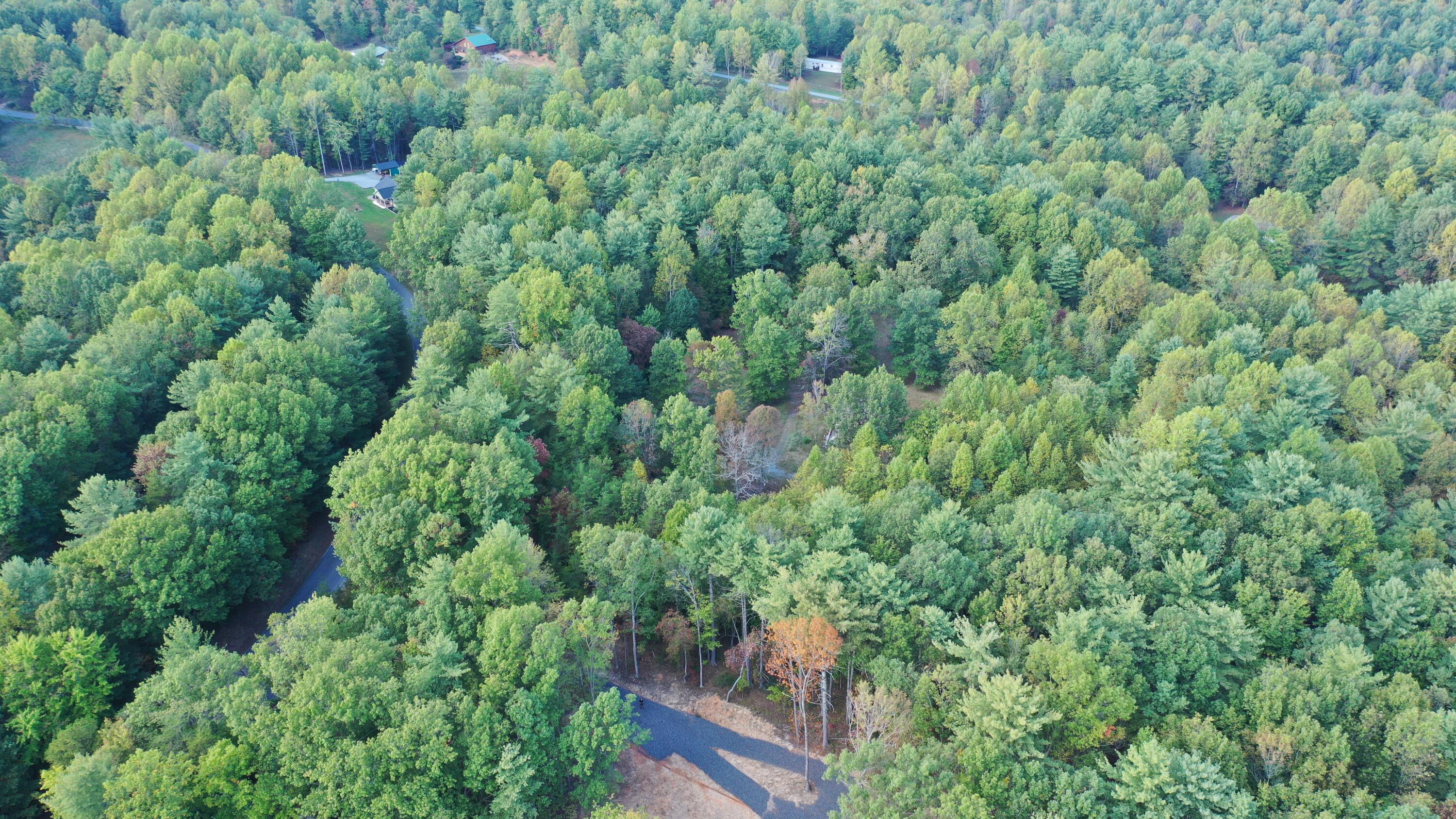 Lot 7 Beverly Town Road Monroe, VA 24574 - Photo 12 of 25 DJI_0072
