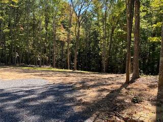 Lot 7 Beverly Town Road Monroe, VA 24574 - Photo 20 of 25 IMG_2601