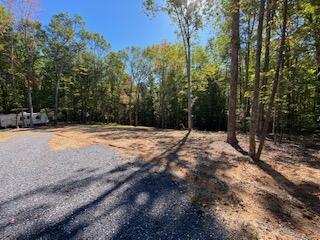 Lot 7 Beverly Town Road Monroe, VA 24574 - Photo 21 of 25 IMG_2602