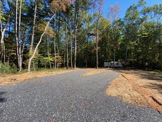 Lot 7 Beverly Town Road Monroe, VA 24574 - Photo 22 of 25 IMG_2603