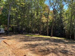 Lot 7 Beverly Town Road Monroe, VA 24574 - Photo 23 of 25 IMG_2604