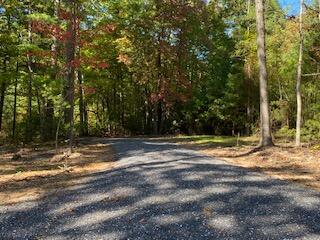 Lot 7 Beverly Town Road Monroe, VA 24574 - Photo 24 of 25 IMG_2605
