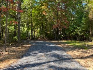 Lot 7 Beverly Town Road Monroe, VA 24574 - Photo 25 of 25 IMG_2606