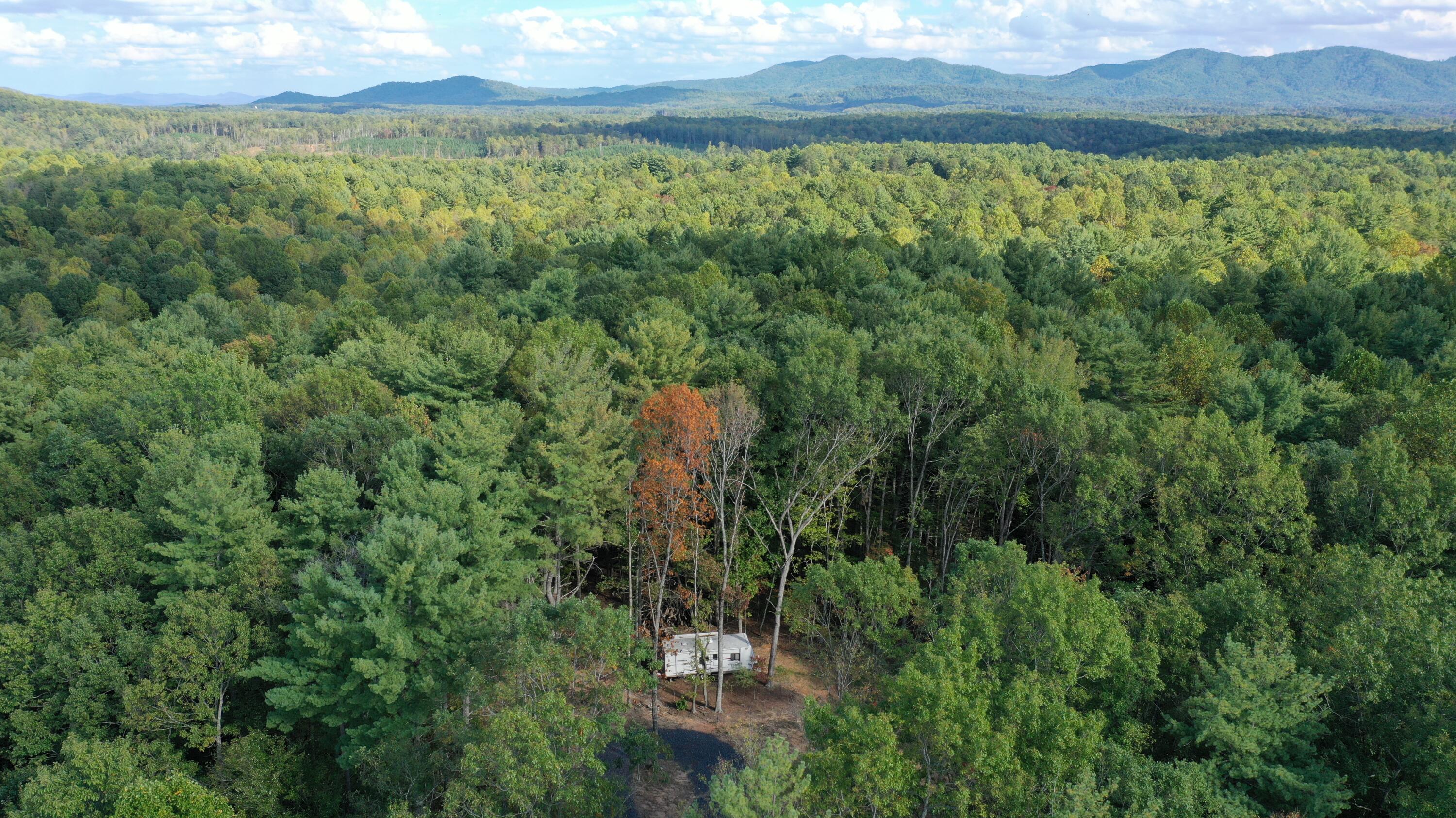 Lot 7 Beverly Town Road Monroe, VA 24574 - Photo 6 of 25 DJI_0061