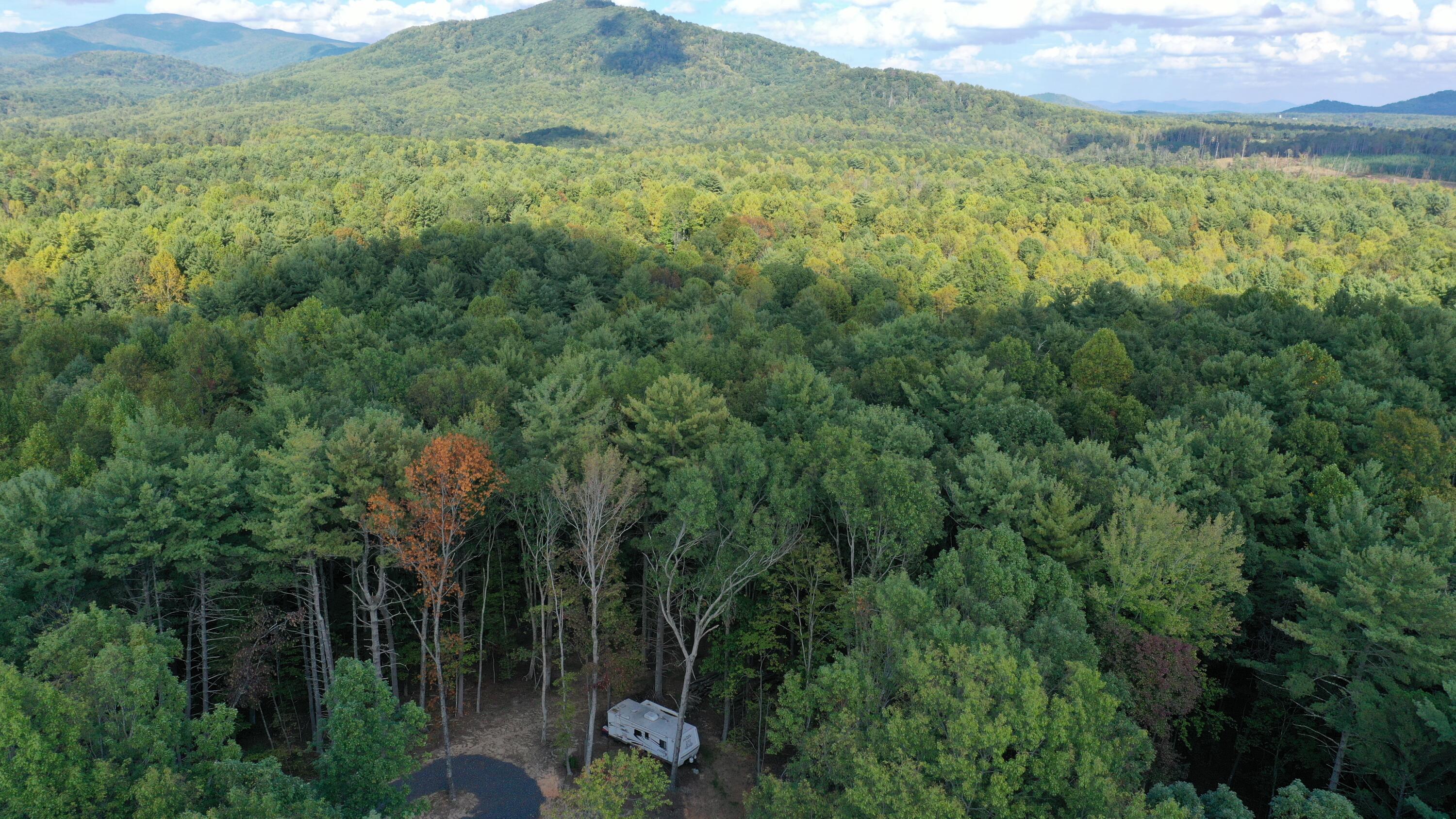 Lot 7 Beverly Town Road Monroe, VA 24574 - Photo 10 of 25 DJI_0067