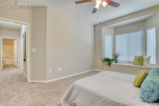 2002 Legacy Ridge View, Unit 101 Colorado Springs, CO 80910 - Photo 6 of 11 Bedroom featuring carpet, connected bathroom, and ceiling fan