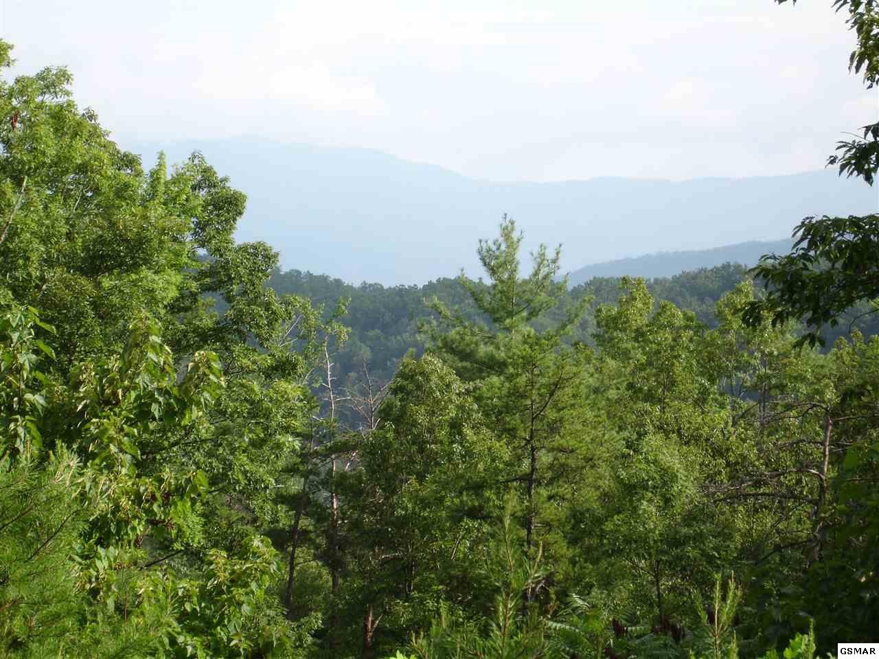 0 Stinnett Ridge Road Cosby, TN 37722 - Photo 3 of 10
