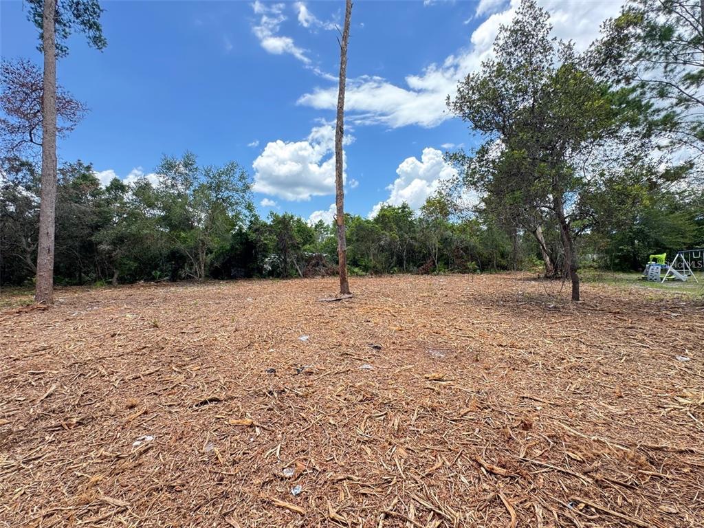 West Pine Street Paisley, FL 32767 - Photo 5 of 7