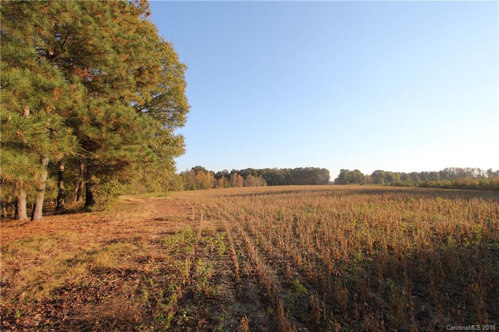 1341 Mayesville Road Morven, NC 28119 - Photo 11 of 20