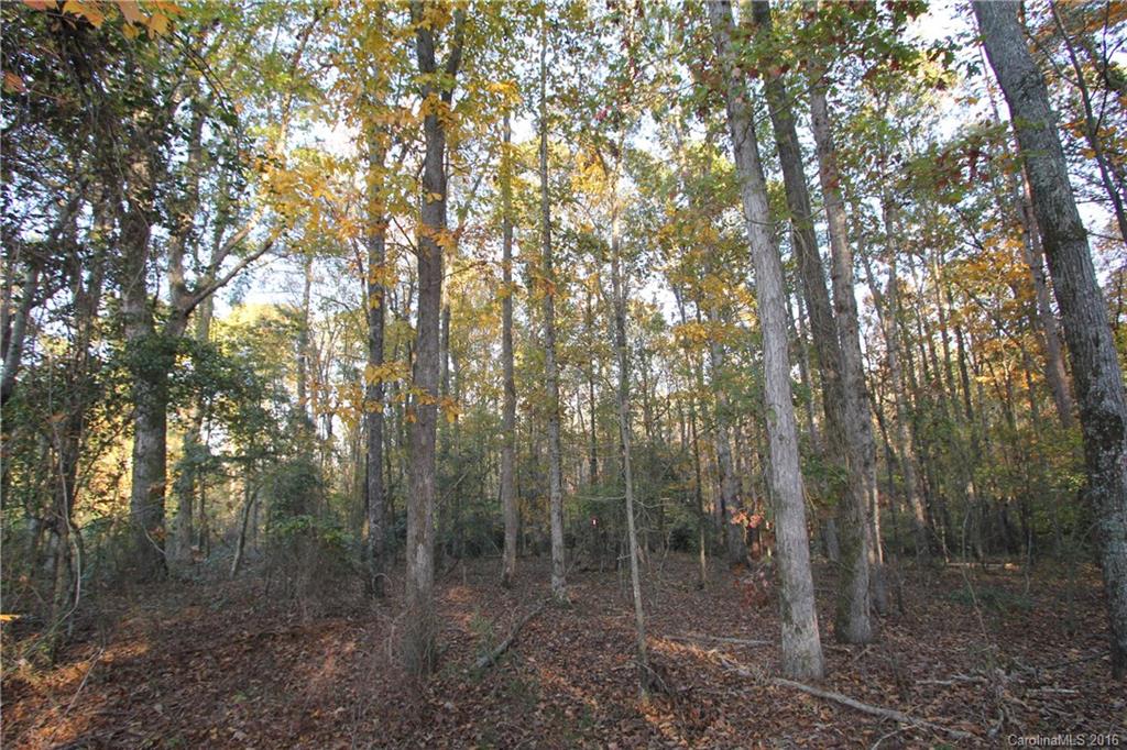 1341 Mayesville Road Morven, NC 28119 - Photo 12 of 20