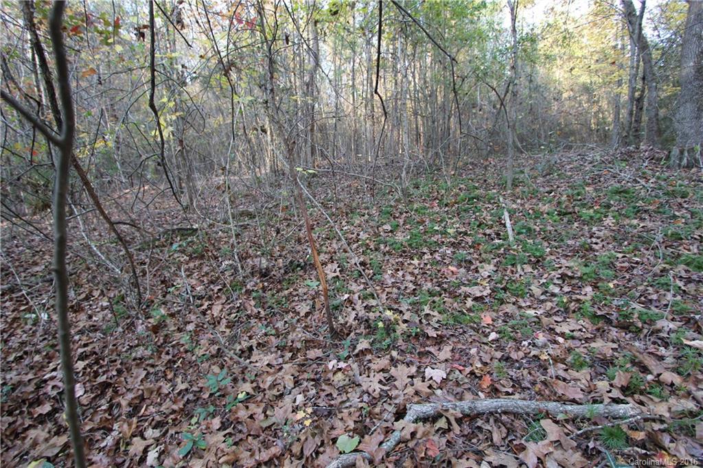 1341 Mayesville Road Morven, NC 28119 - Photo 15 of 20