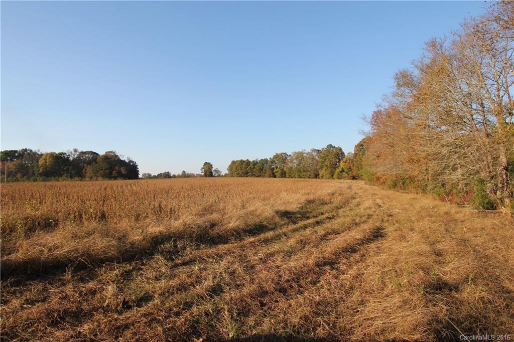1341 Mayesville Road Morven, NC 28119 - Photo 16 of 20