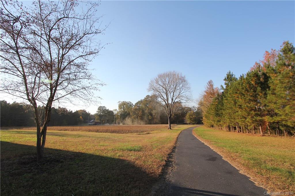 1341 Mayesville Road Morven, NC 28119 - Photo 3 of 20