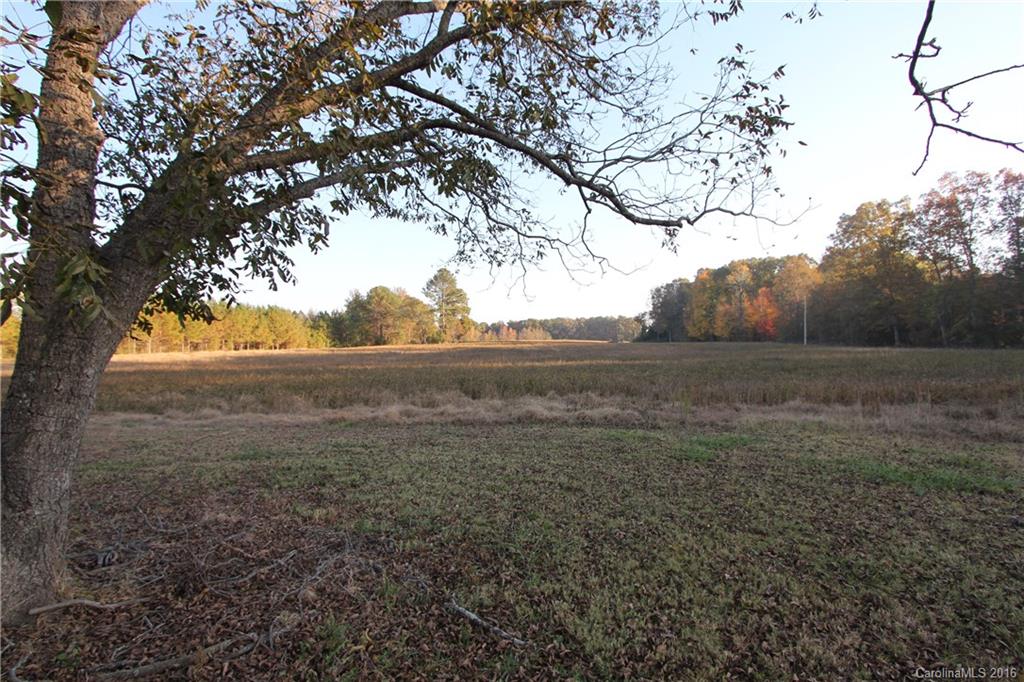 1341 Mayesville Road Morven, NC 28119 - Photo 4 of 20