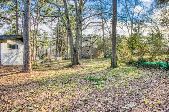 a view of yard with tree