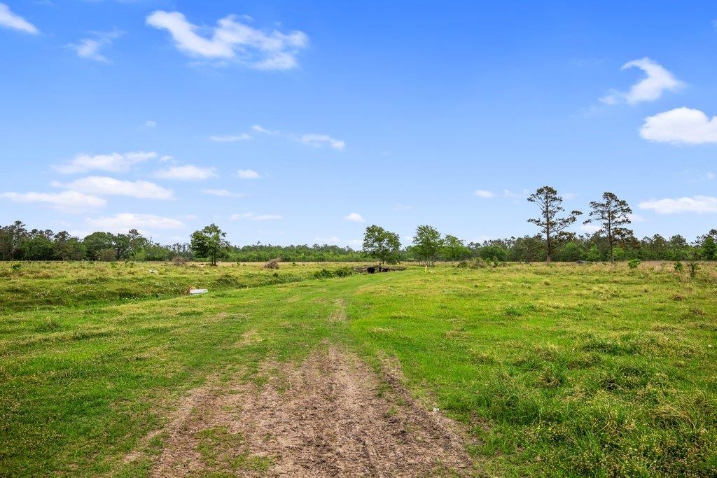 0 West Dave Dugas Road West Sulphur, LA 70665 - Photo 4 of 5