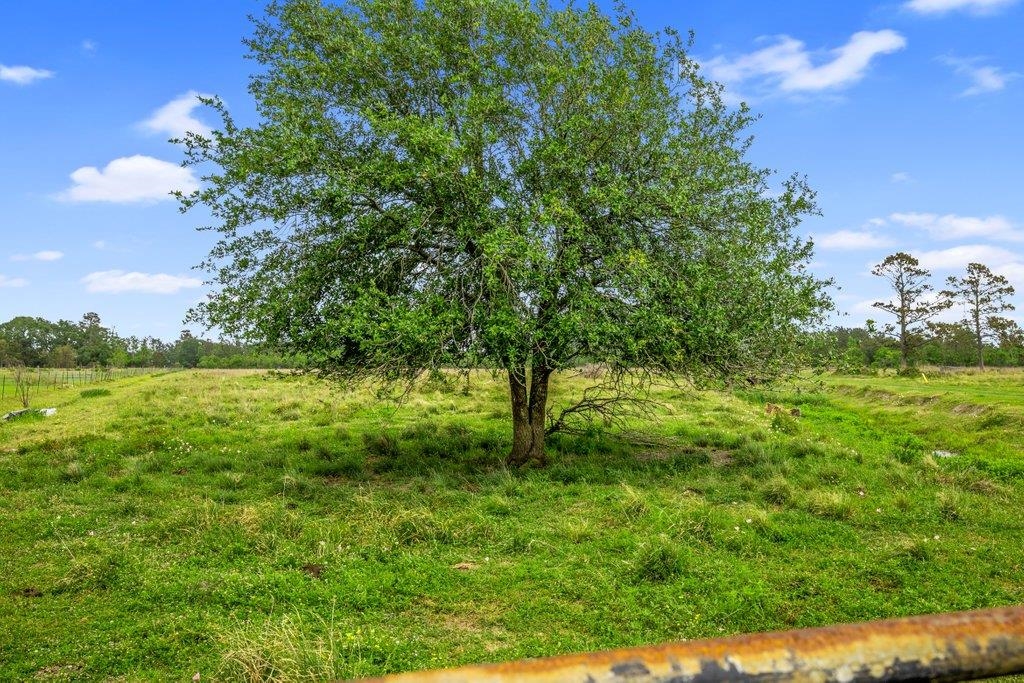 0 West Dave Dugas Road West Sulphur, LA 70665 - Photo 5 of 5