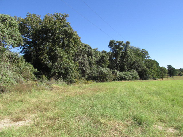 0 South An Co Road Palestine, TX 75801 - Photo 1 of 1