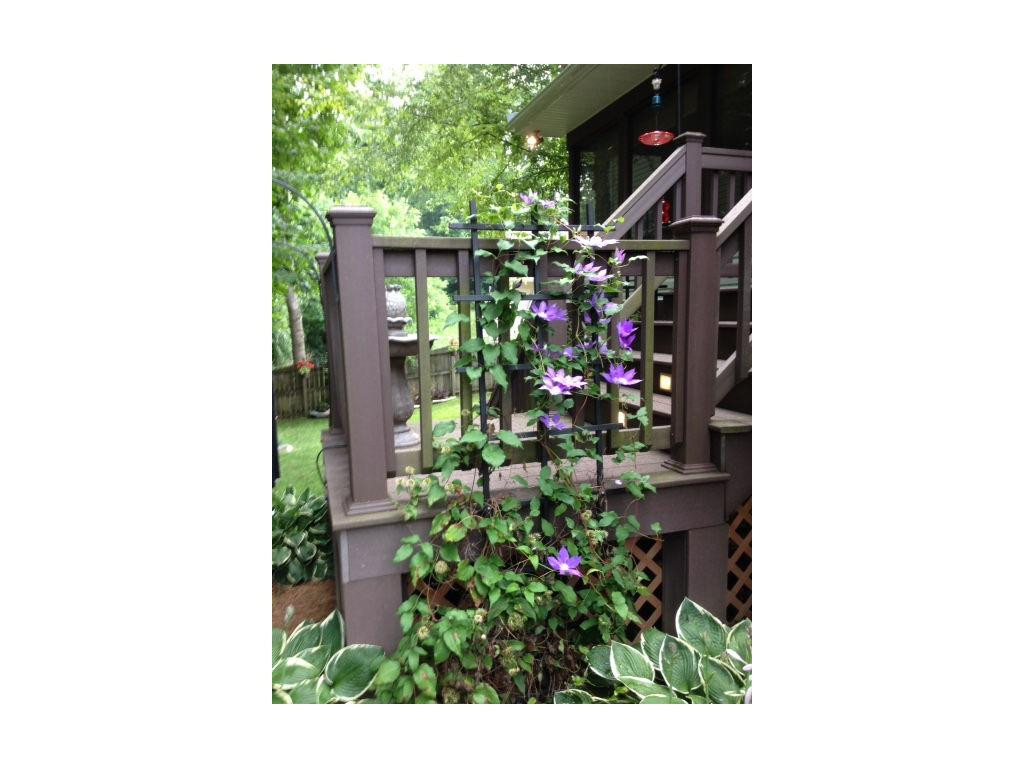 16459 Old Timber Road Abingdon, VA 24210 - Photo 15 of 24 Photo 15