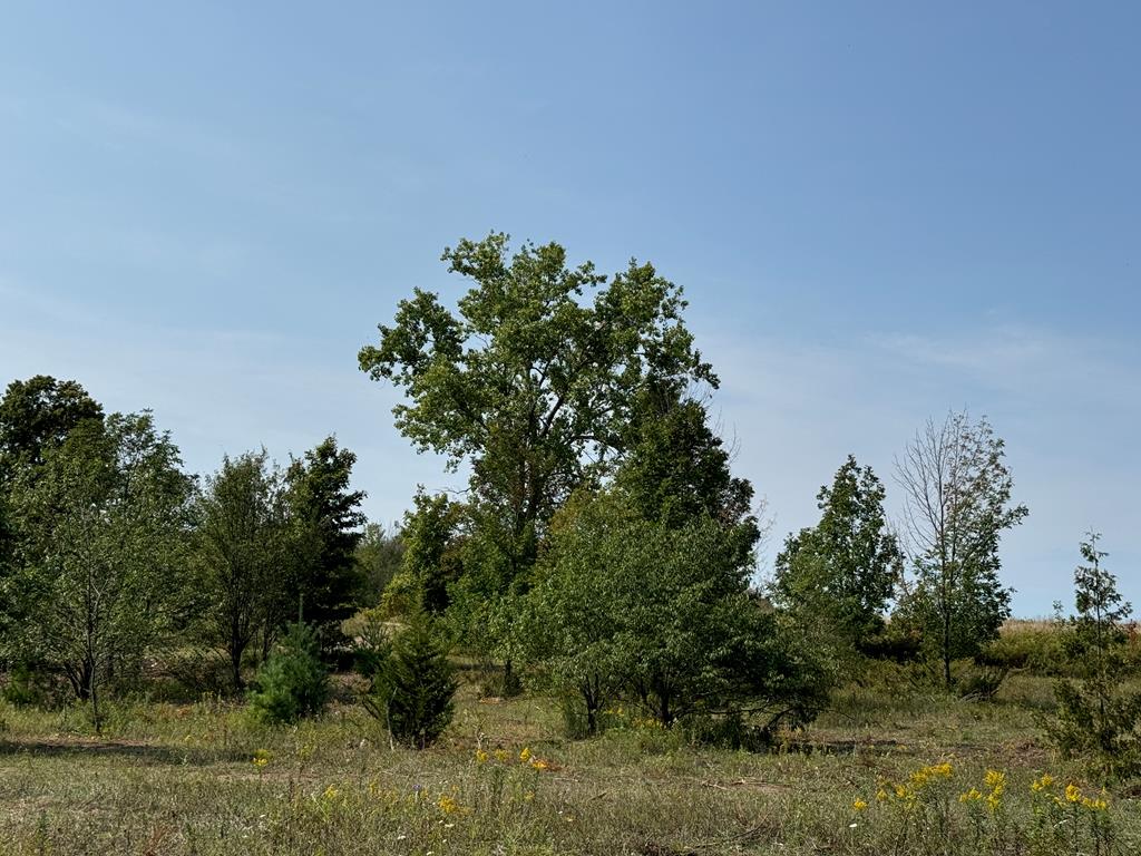 Lot 3 Division Road Egg Harbor, WI 54209 - Photo 3 of 11