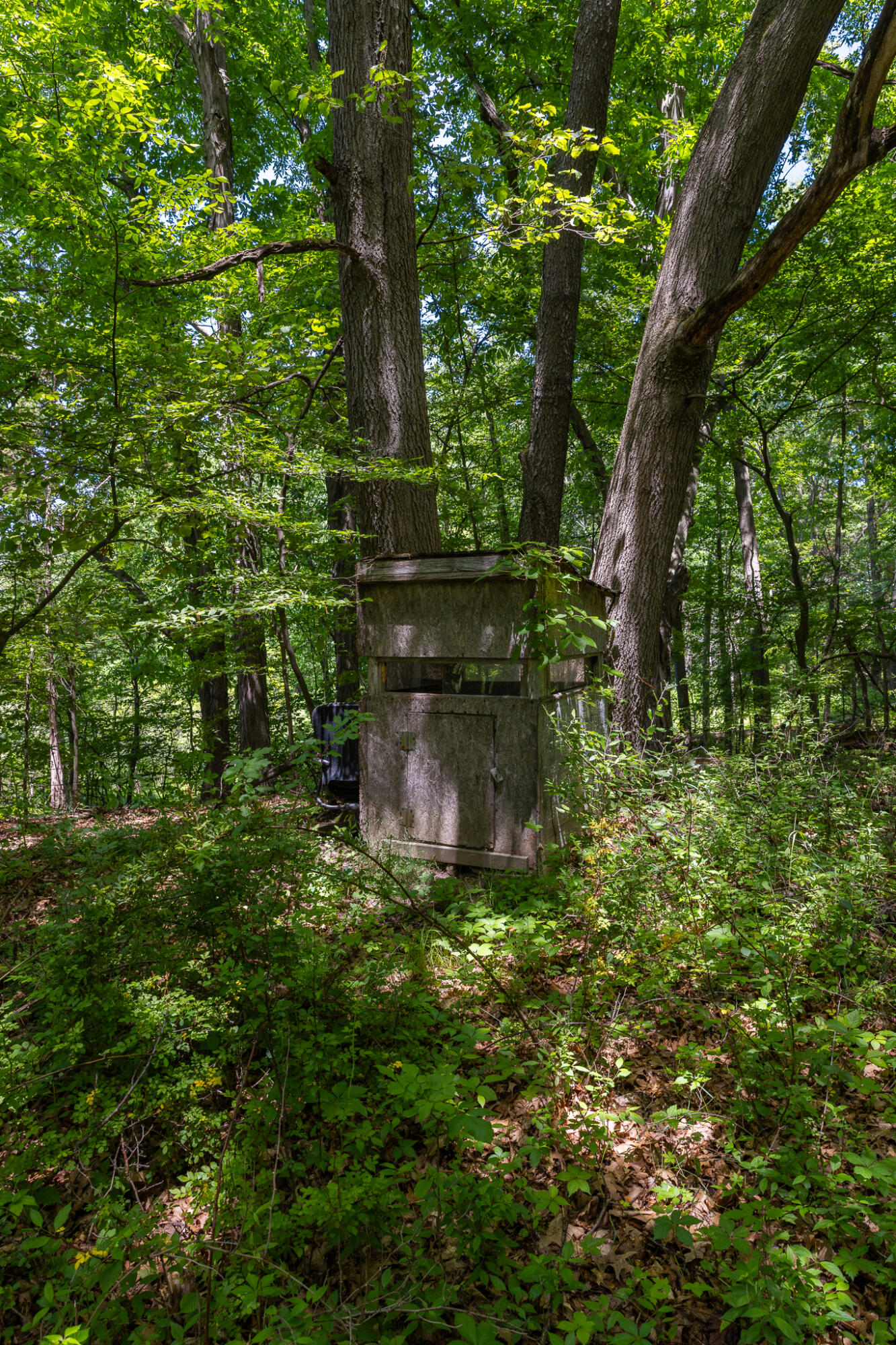 28 28 Mile Road Albion, MI 49224 - Photo 17 of 41 28 Mile -21