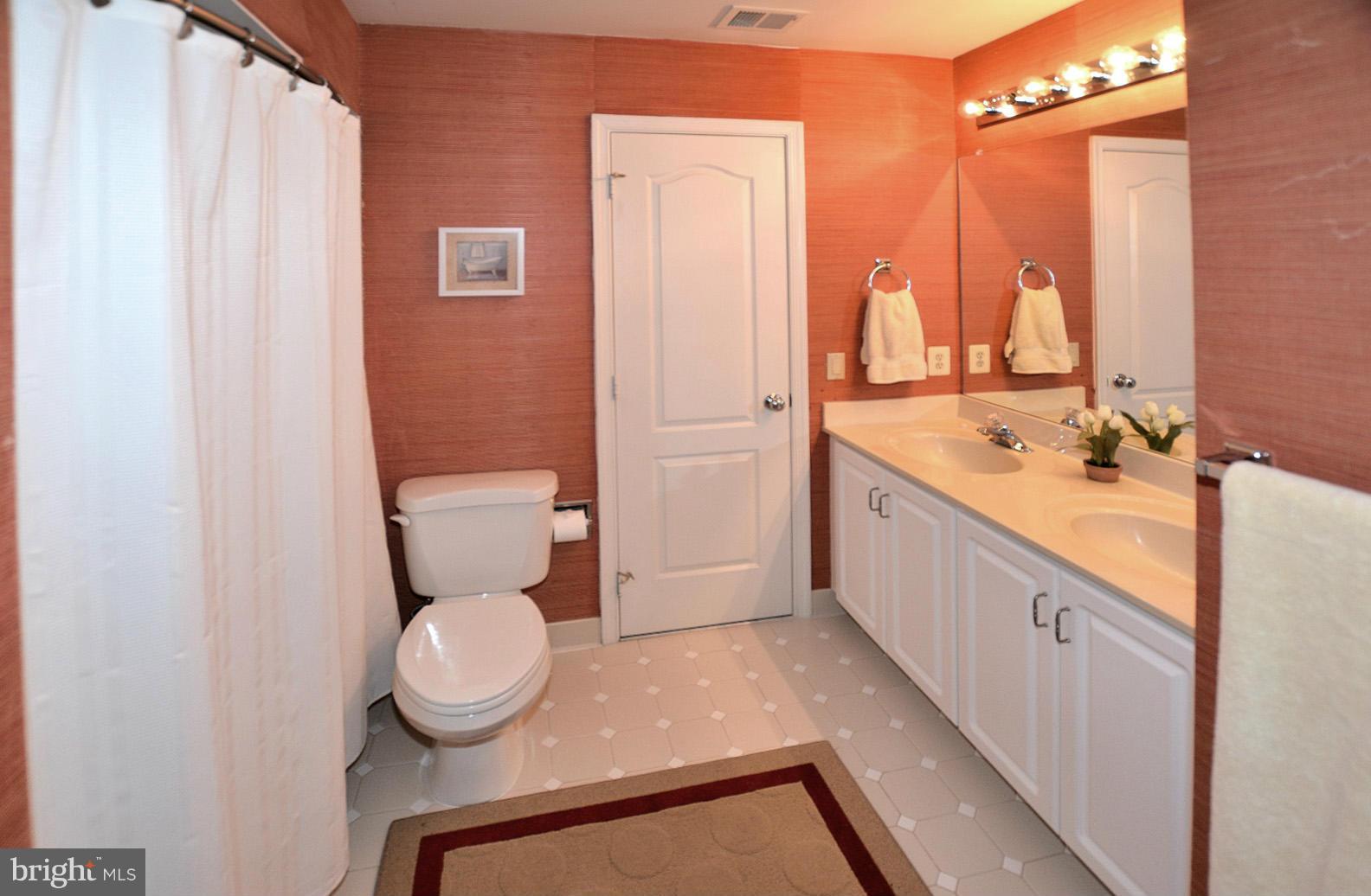 1302 Red Hawk Circle Reston, VA 20194 - Photo 17 of 29 Hall Bath