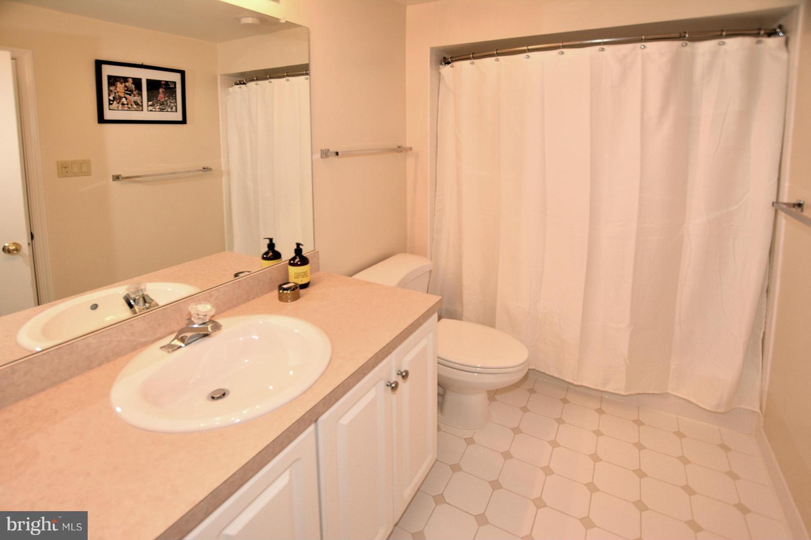 1302 Red Hawk Circle Reston, VA 20194 - Photo 27 of 29 Lower Level Full Bath