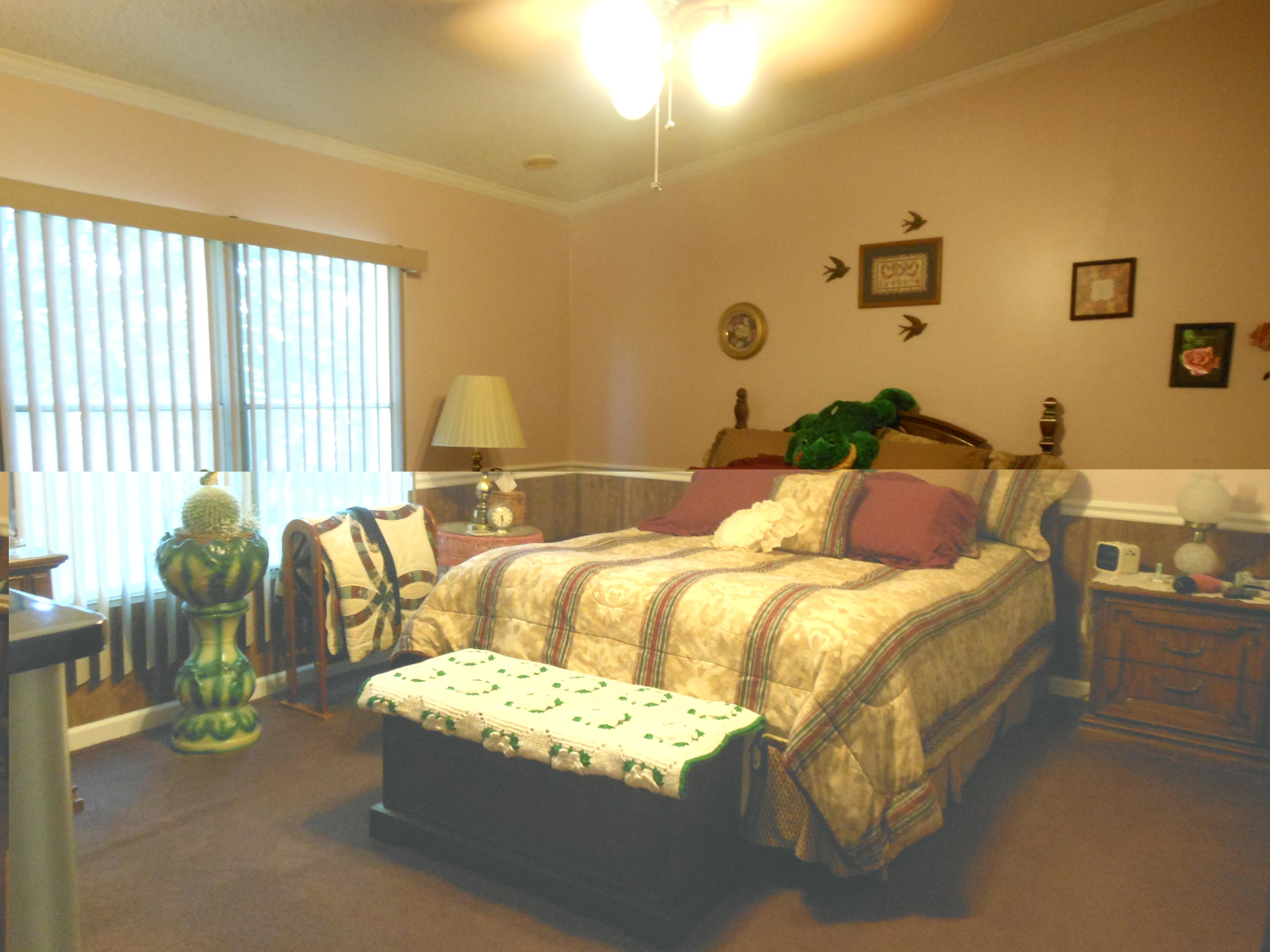 4483 Horseshoe Bend Road Goodview, VA 24095 - Photo 11 of 14 011 Master Bedroom