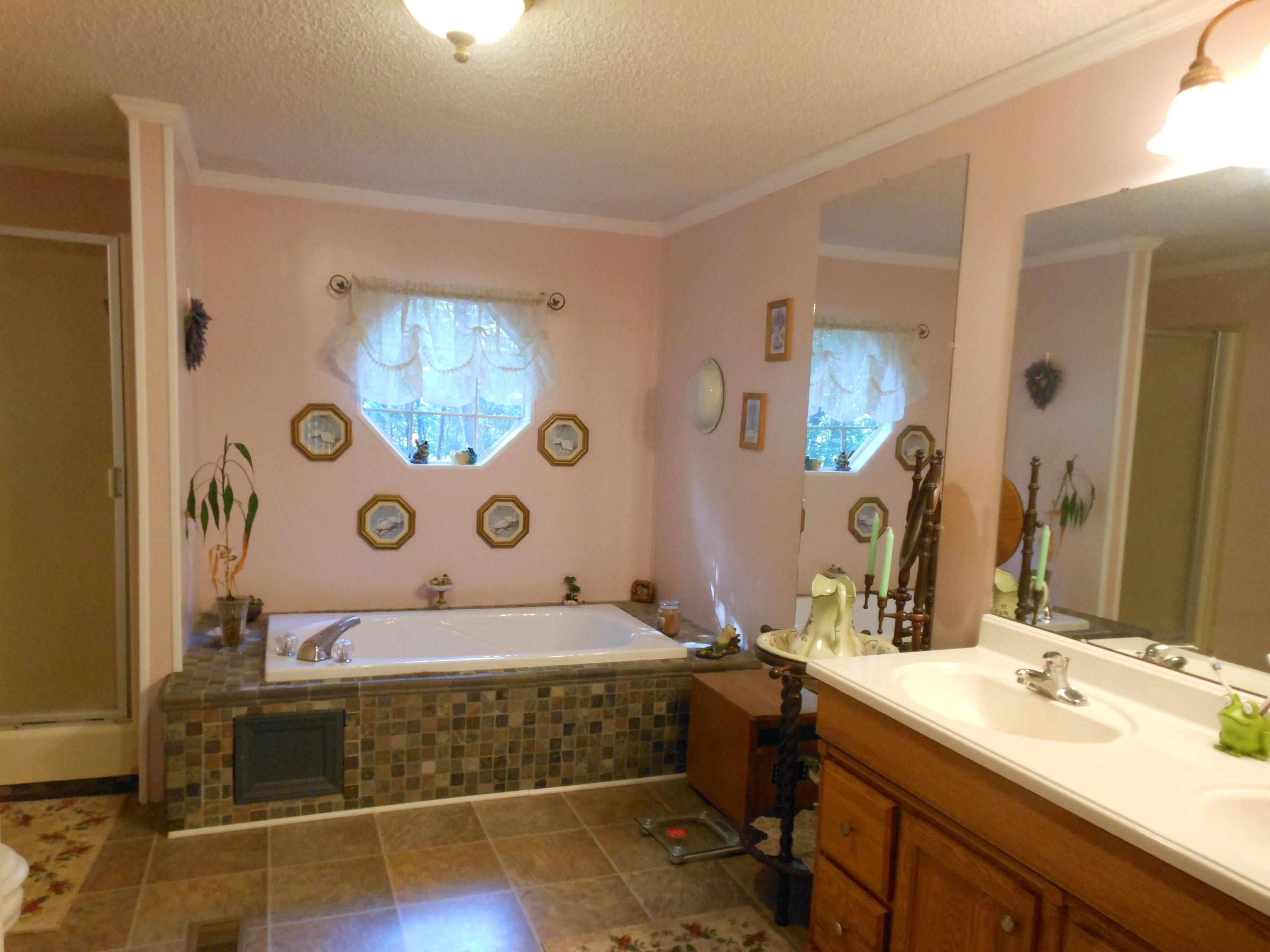 4483 Horseshoe Bend Road Goodview, VA 24095 - Photo 12 of 14 012 Master Bath