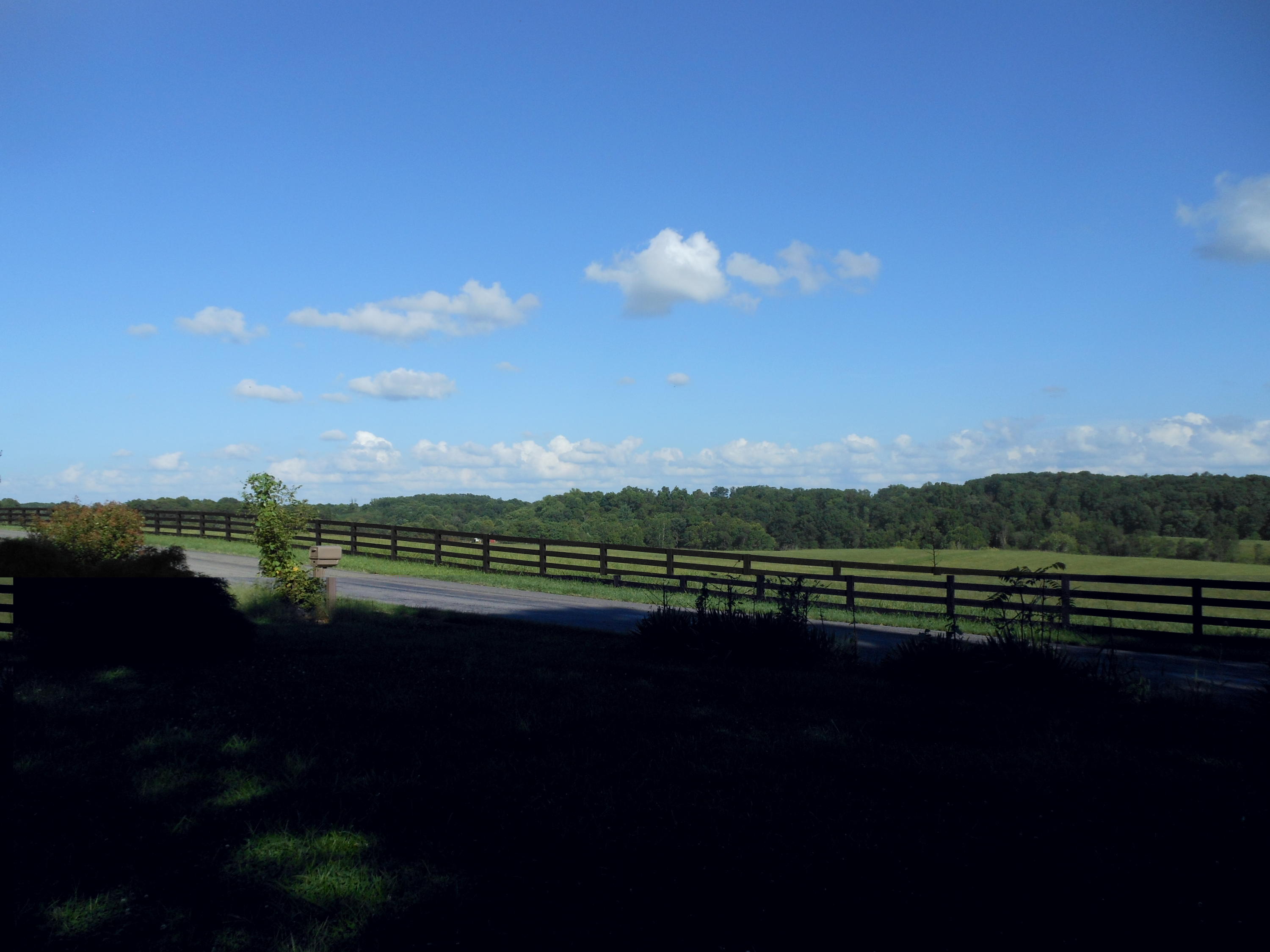 4483 Horseshoe Bend Road Goodview, VA 24095 - Photo 4 of 14 004 View from Front of House