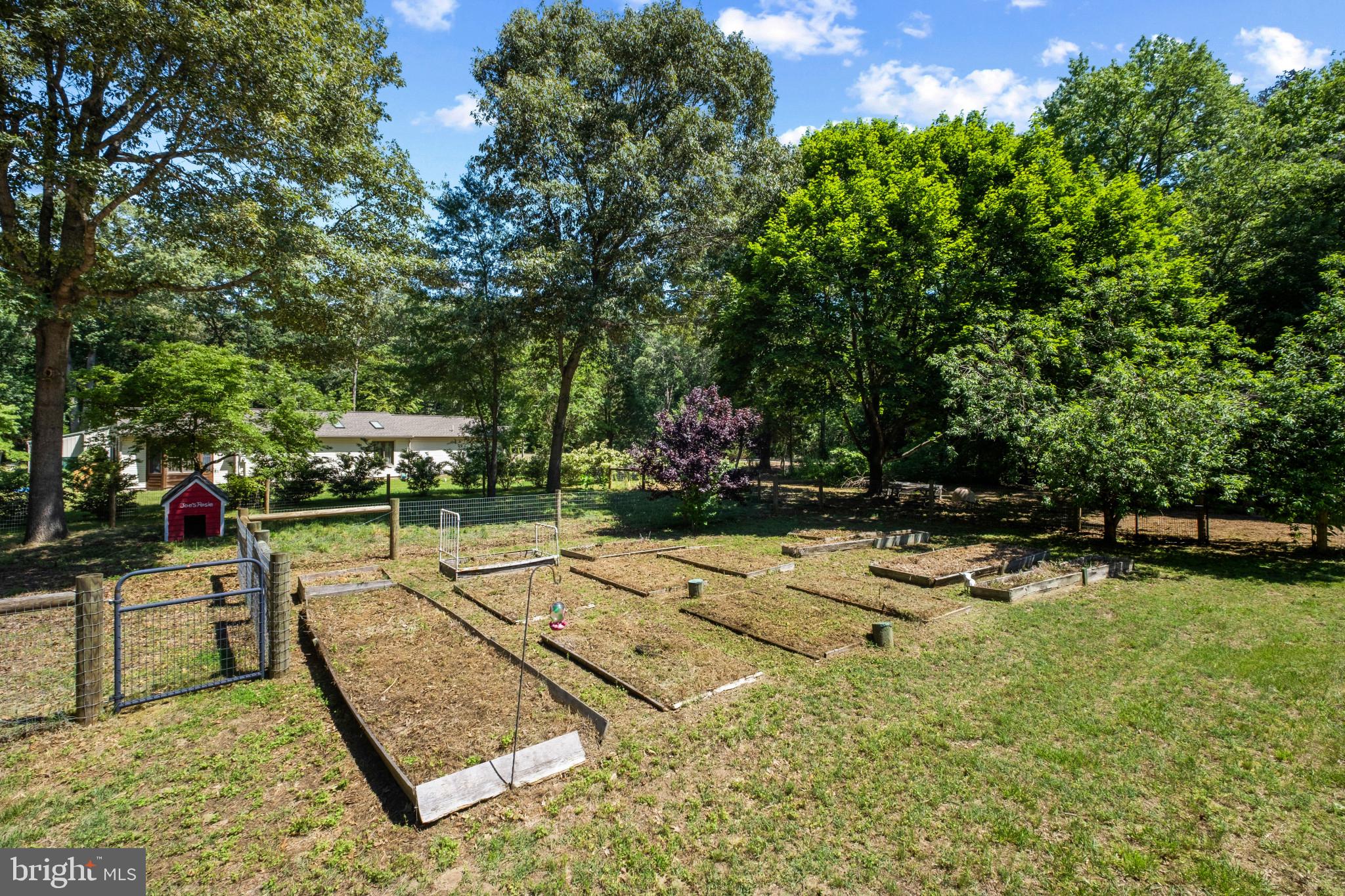 23116 Gilpin Point Road Preston, MD 21655 - Photo 43 of 66 Established garden bed. Ready for planting.
