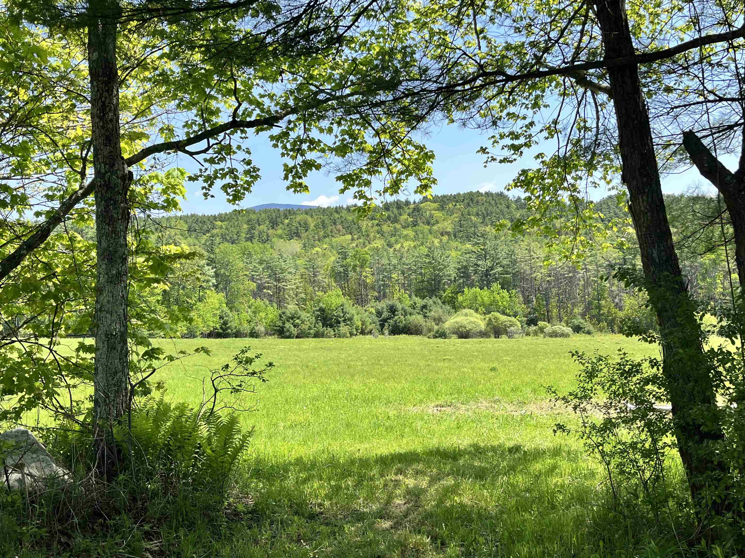 44 Franklin Hill Road Lyme, NH 03768 - Photo 7 of 13