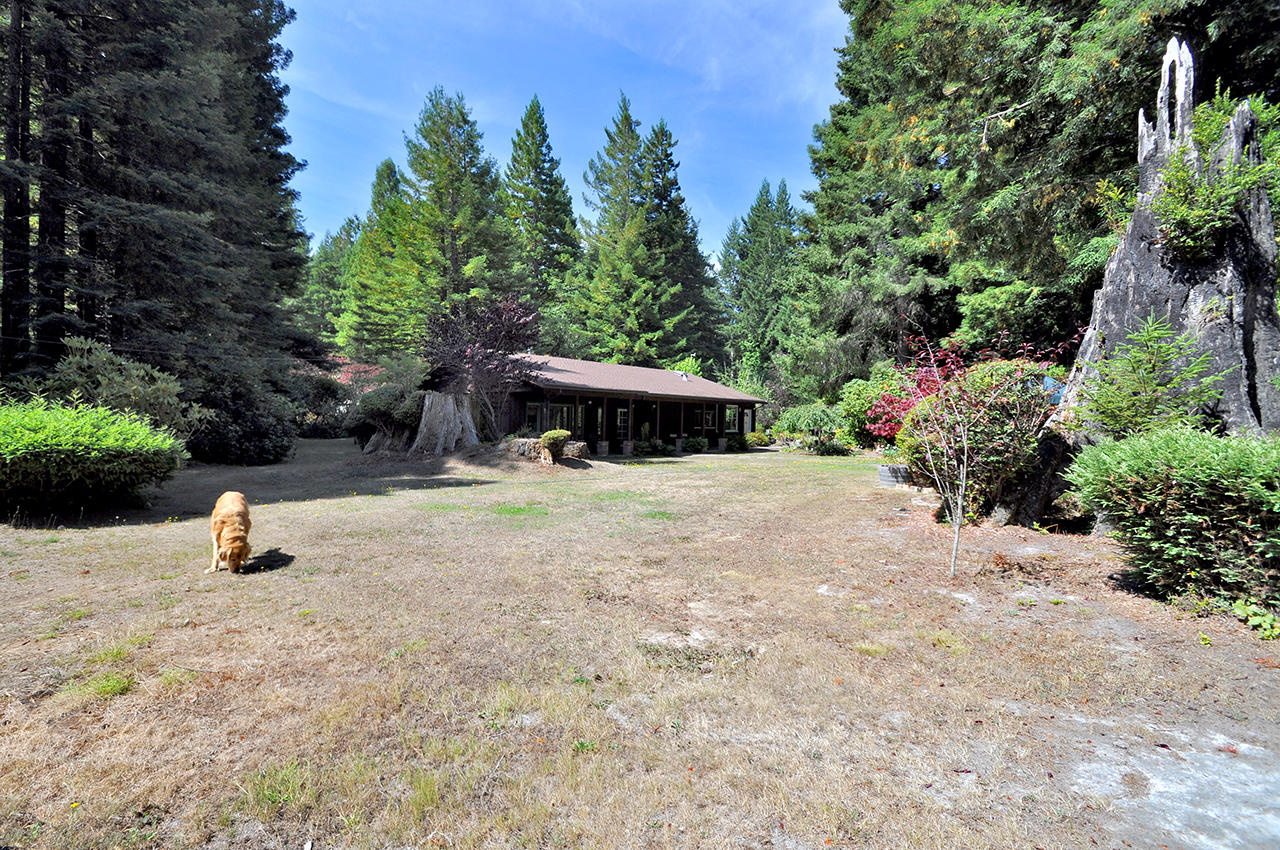 1451 Fox Farm Road Trinidad, CA 95570 - Photo 3 of 19 Gallery Image 3