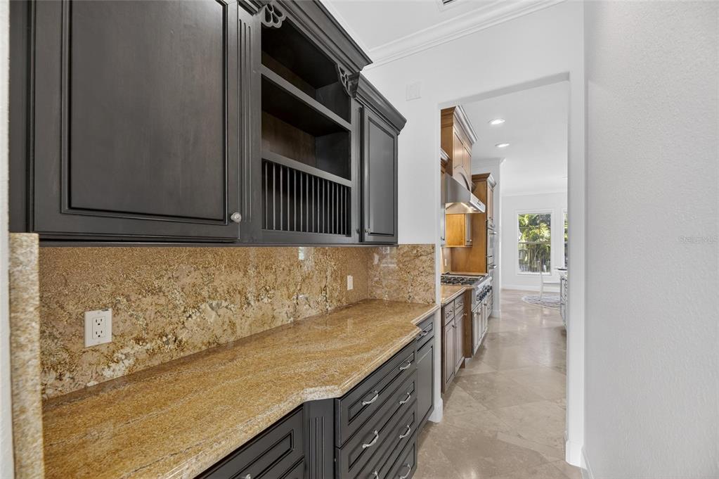 5910 La Rosa Lane Apollo Beach, FL 33572 - Photo 13 of 93