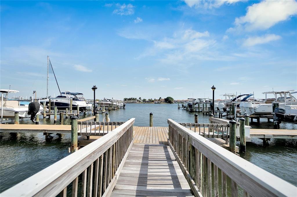 5910 La Rosa Lane Apollo Beach, FL 33572 - Photo 88 of 93