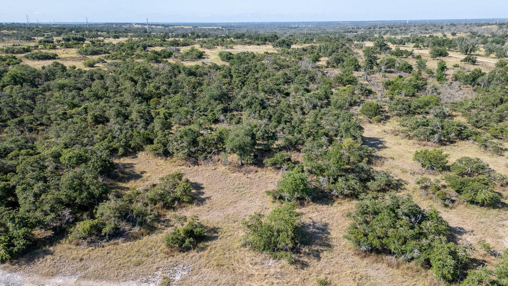 450 Jung Road Harper, TX 78631 - Photo 46 of 53 Gallery Image 46