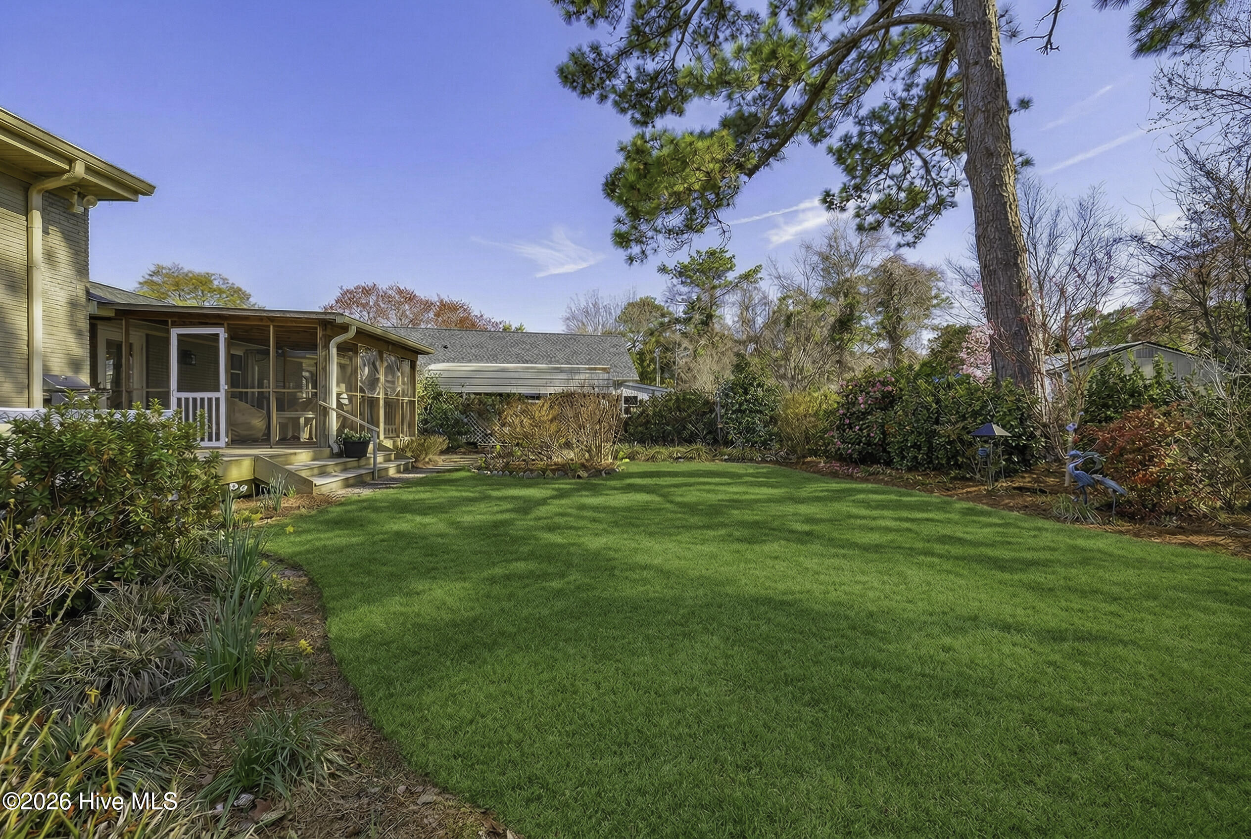 225 Tanbridge Road Wilmington, NC 28405 - Photo 7 of 47 225TanbridgeRoad-14_Grass