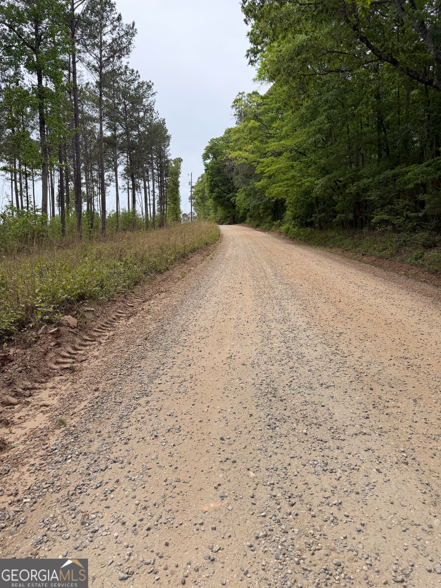3385 Highway 83 Monticello, GA 31064 - Photo 11 of 47 a view of a field with trees in the background
