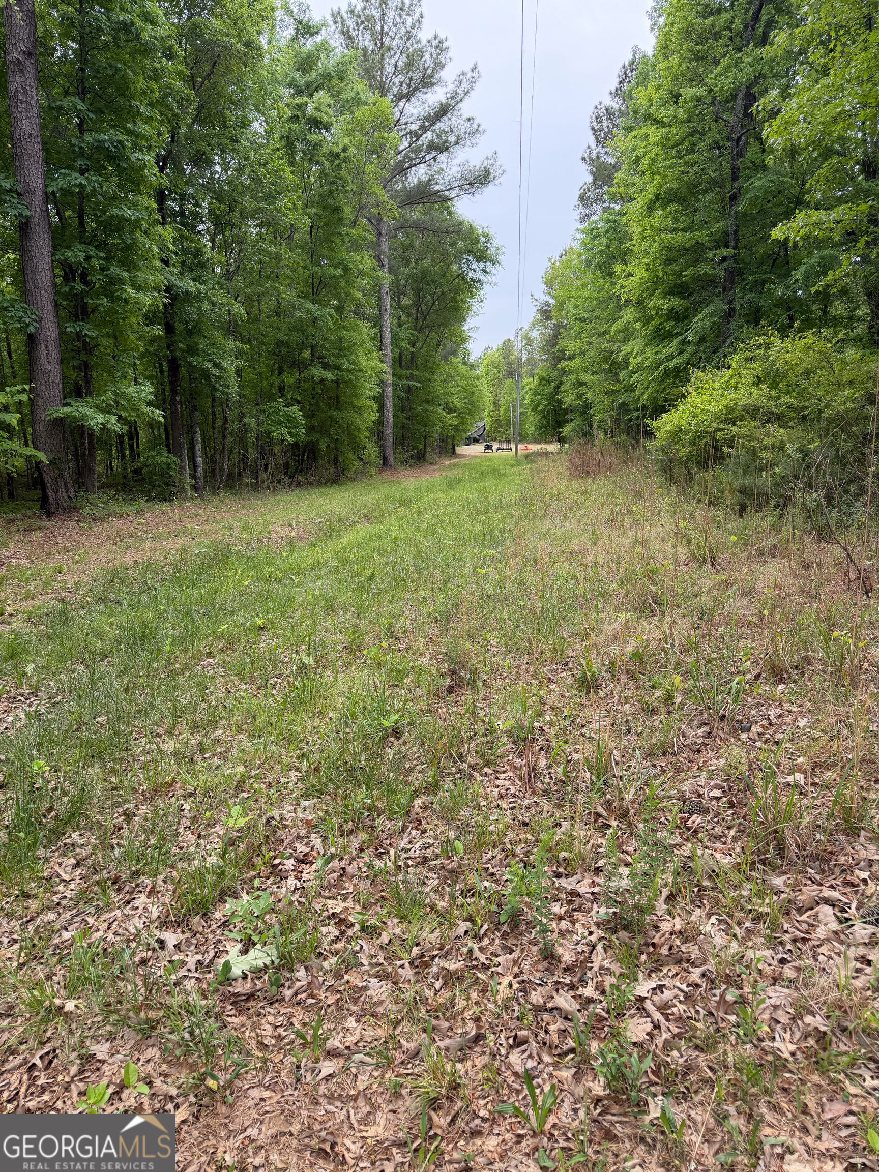 3385 Highway 83 Monticello, GA 31064 - Photo 13 of 47 a view of outdoor space and yard