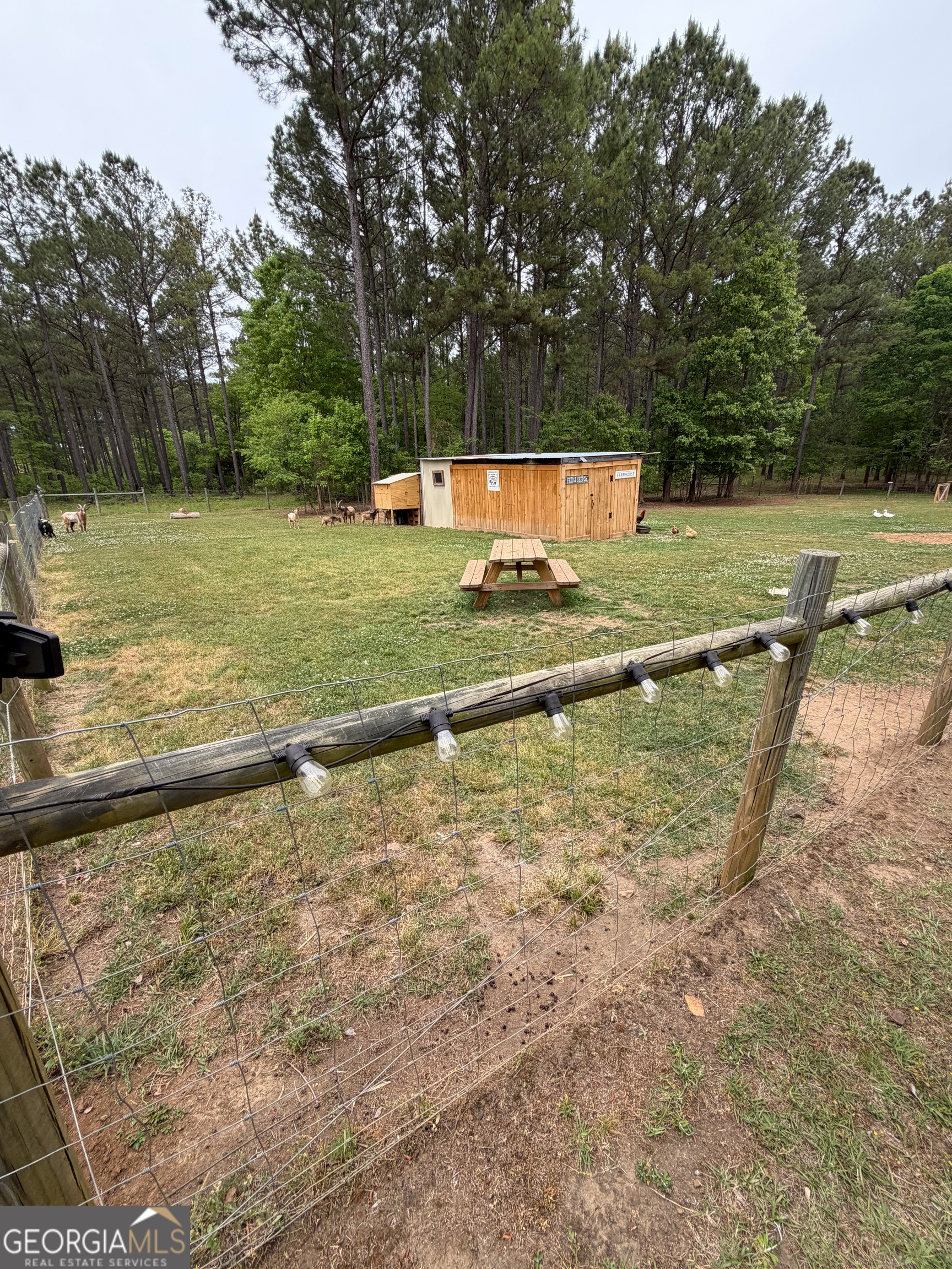 3385 Highway 83 Monticello, GA 31064 - Photo 22 of 47 a view of a backyard with a large tree